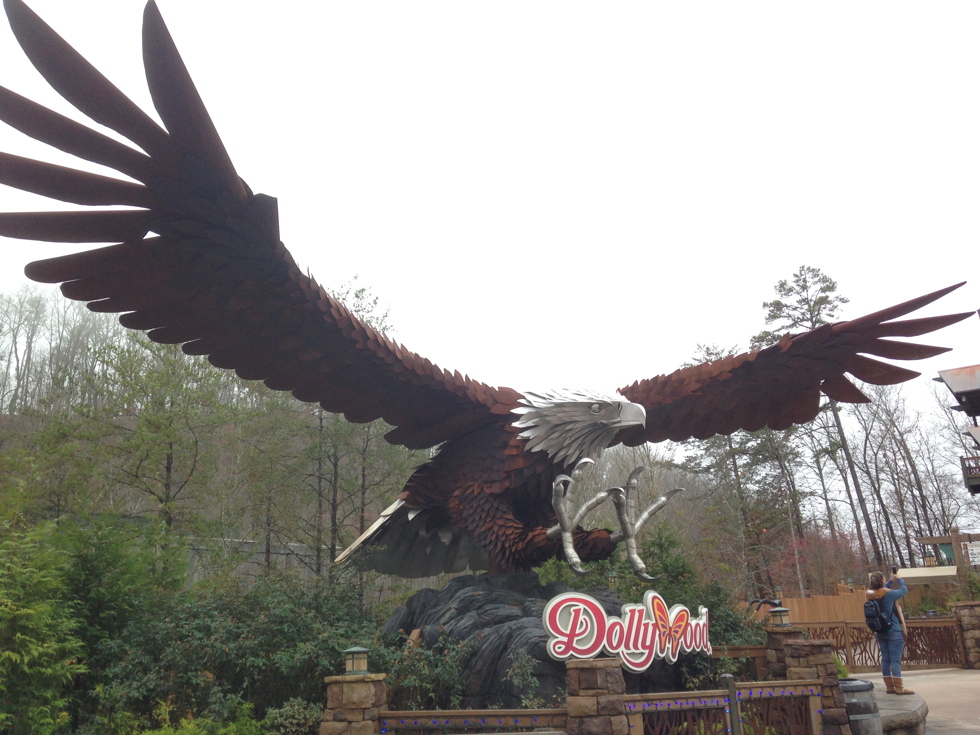 Dollywood - Wild Eagle - Pigeon Forge