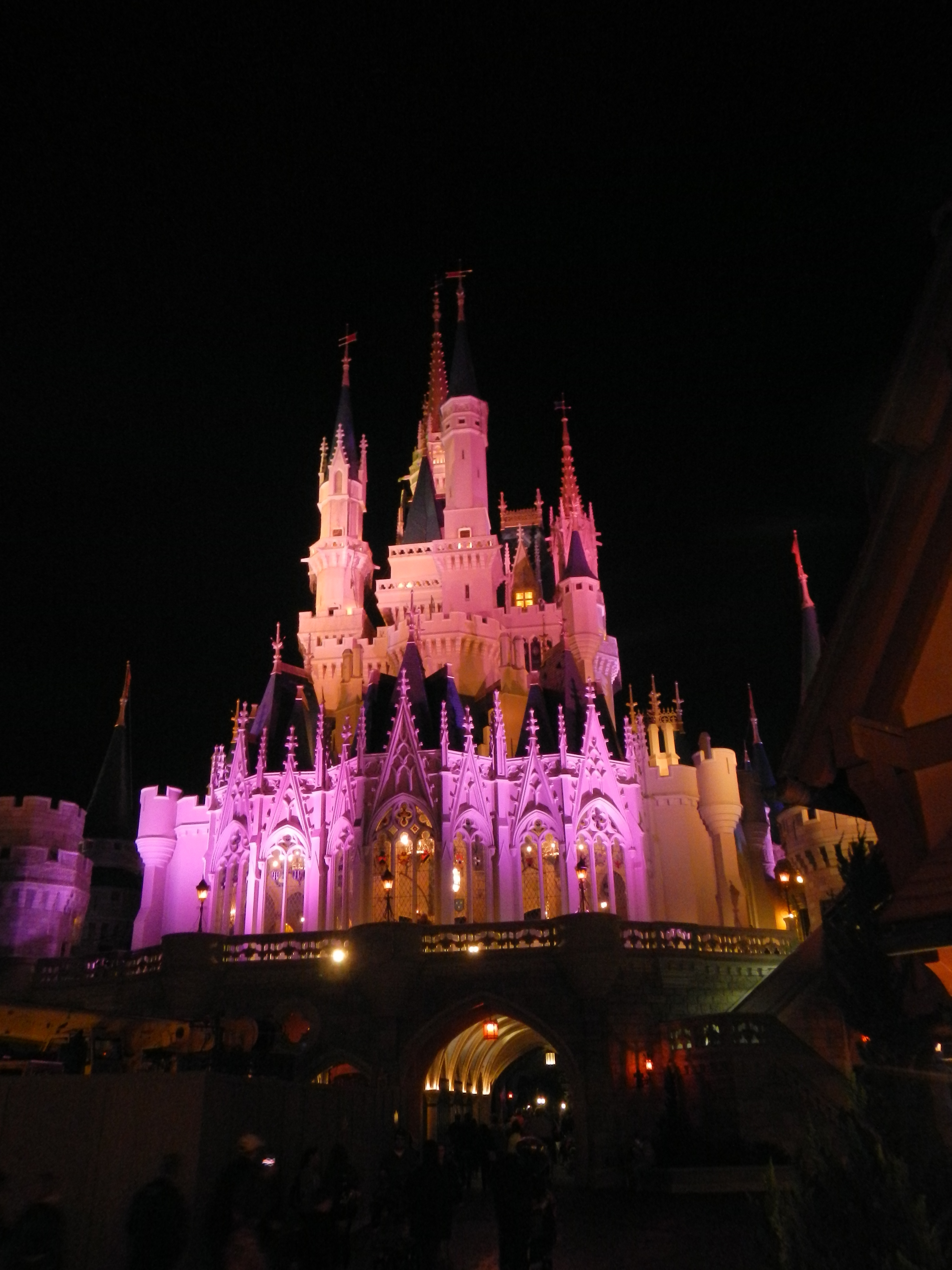 Another shot of Cinderella's Castle.