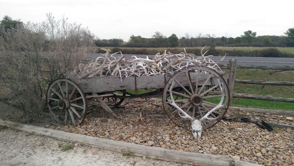 Big wagon of antlers